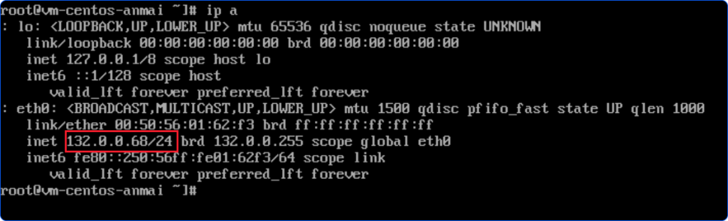 Output of ip a command in the CentOS VM Console