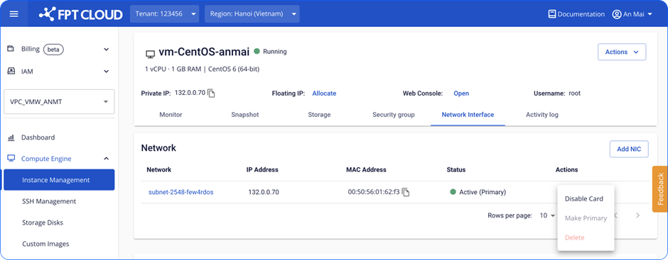 Primary NIC details