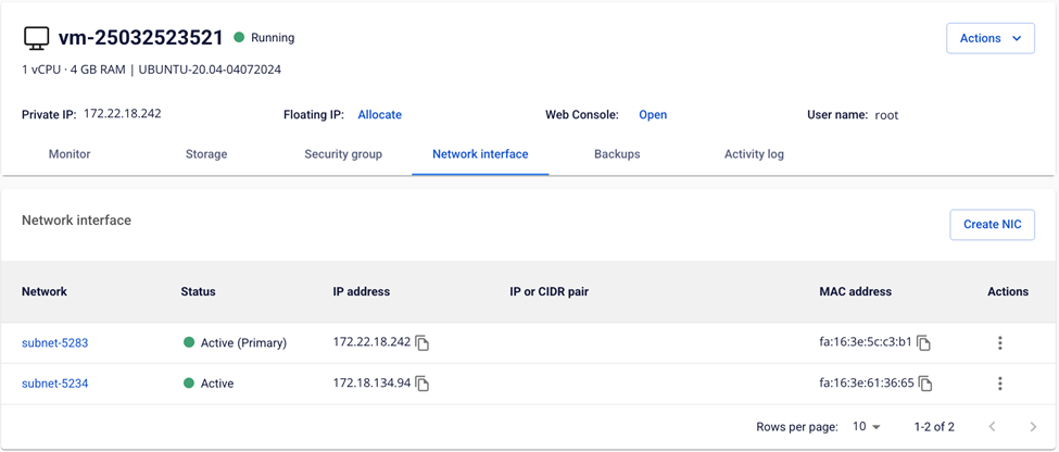 Network Interface tab showing the list of network cards
