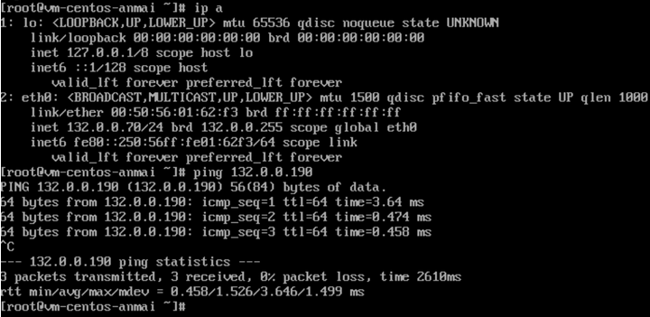 Kết quả kiểm tra IP mới và ping test trên CentOS
